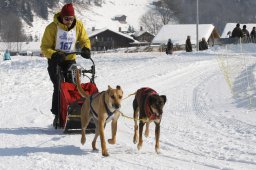Lenk 2012 SM